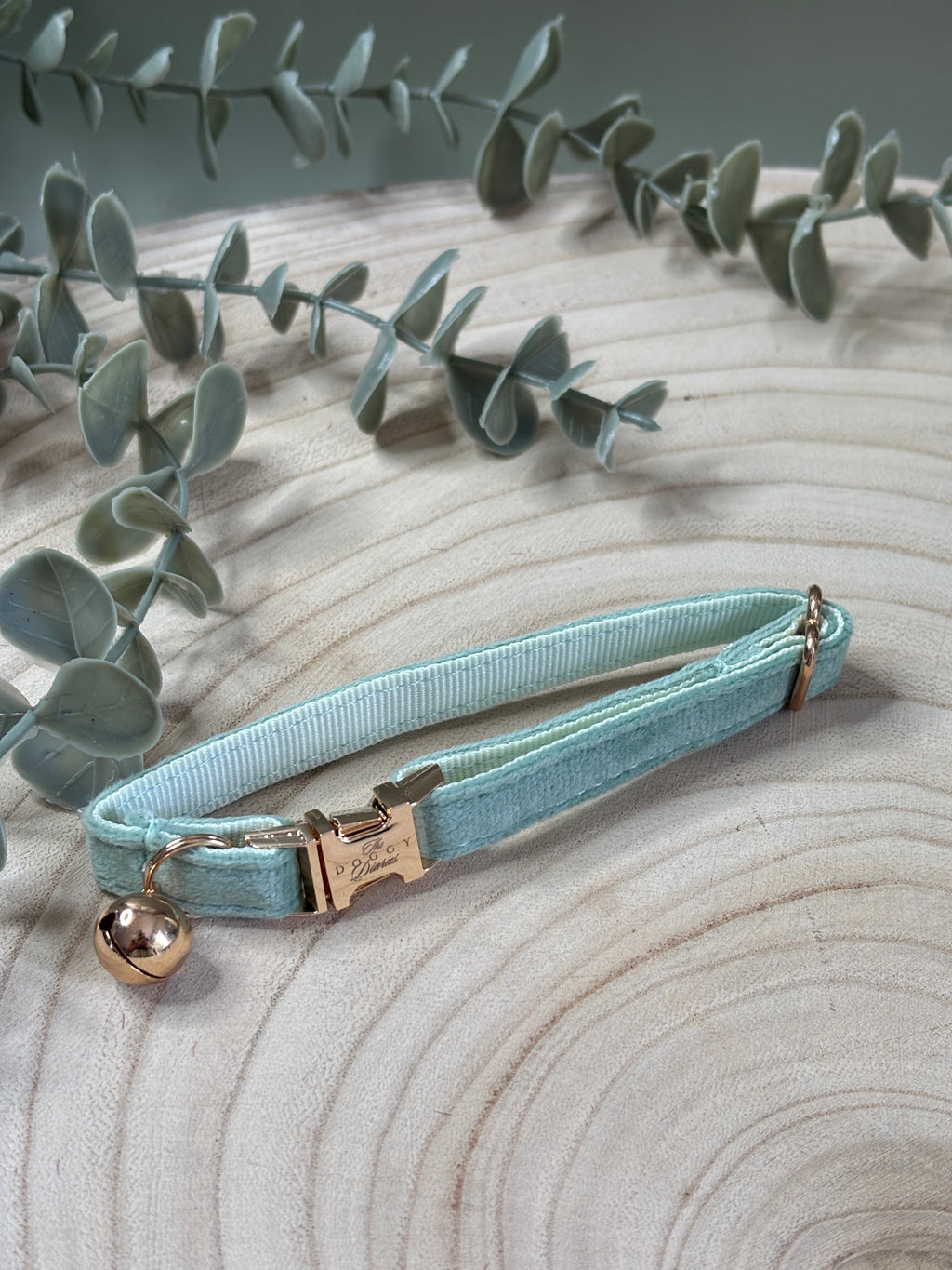 Puppy Velvet Collar
