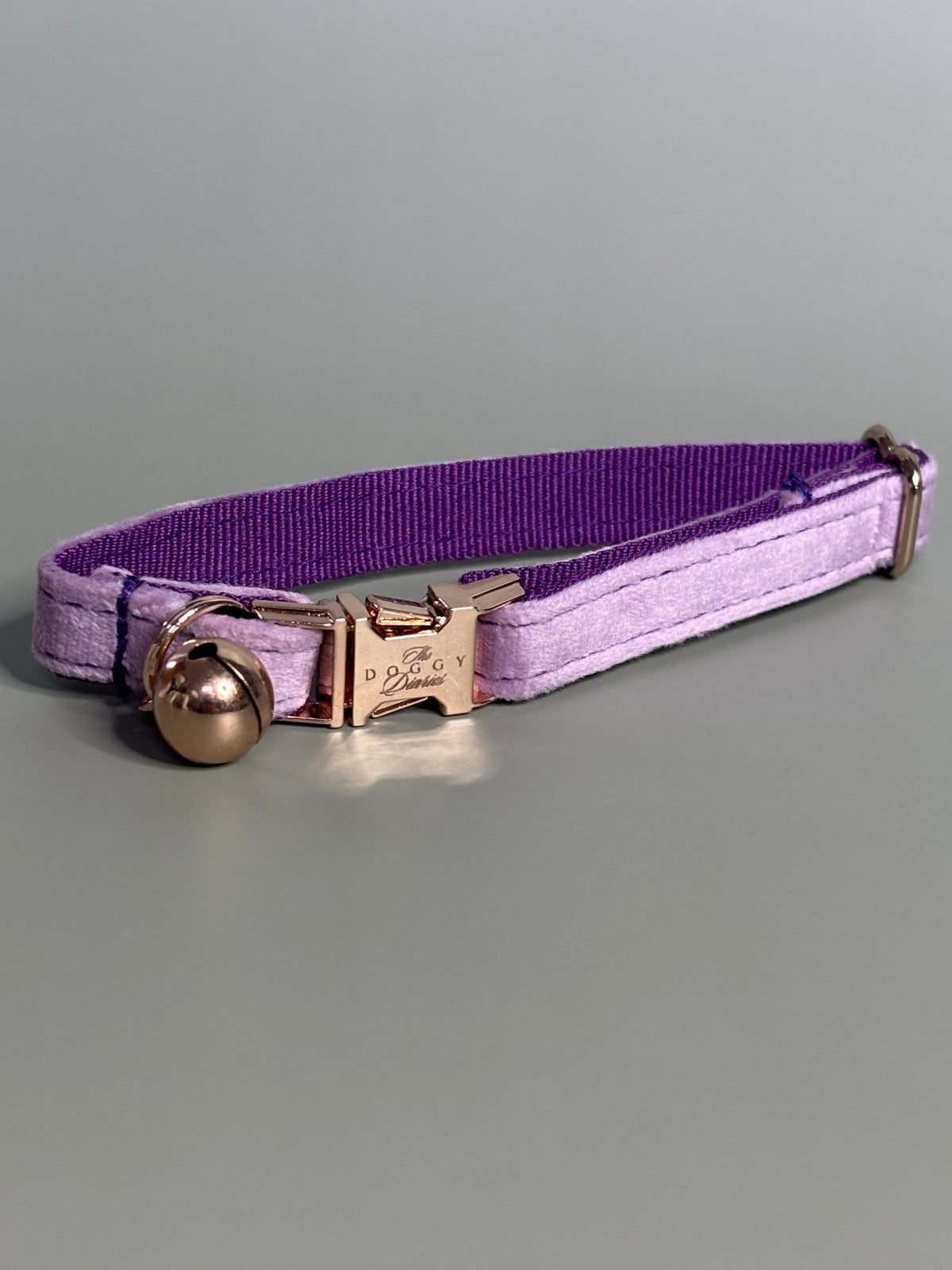 Puppy Velvet Collar